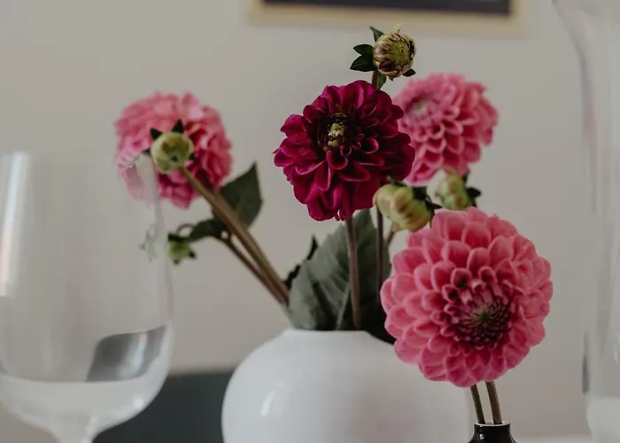 4 Traum Im Altbau Fuer Familien Und Gruppen * Bremen